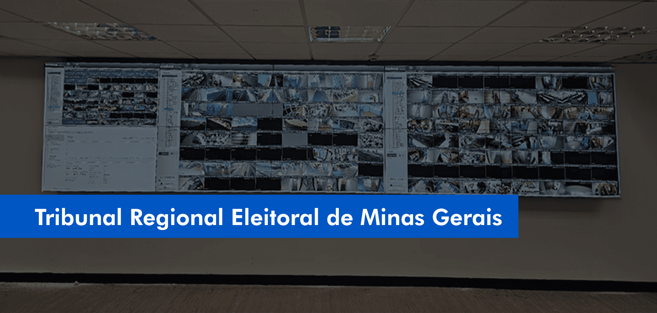 Tribunal Regional Eleitoral de Minas Gerais (TRE-MG)