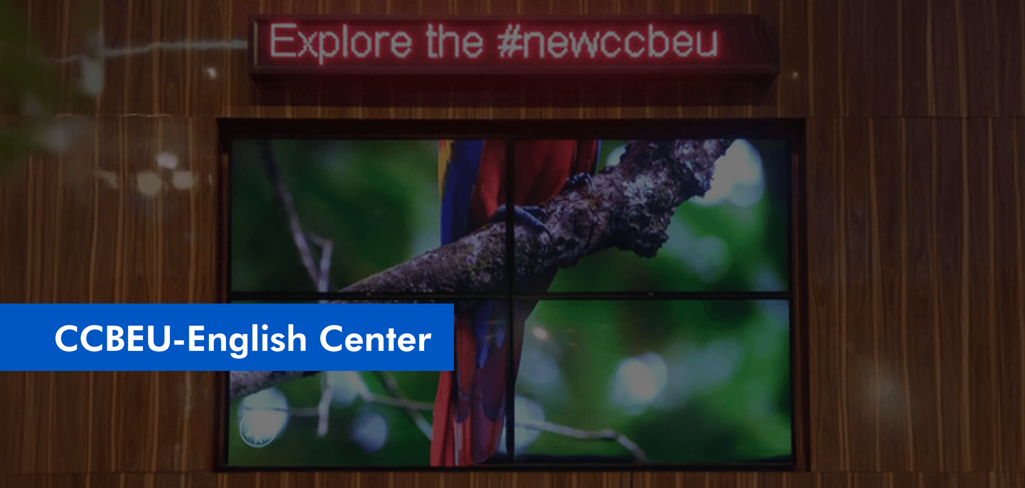 CCBEU - English Center (Belém-PA)