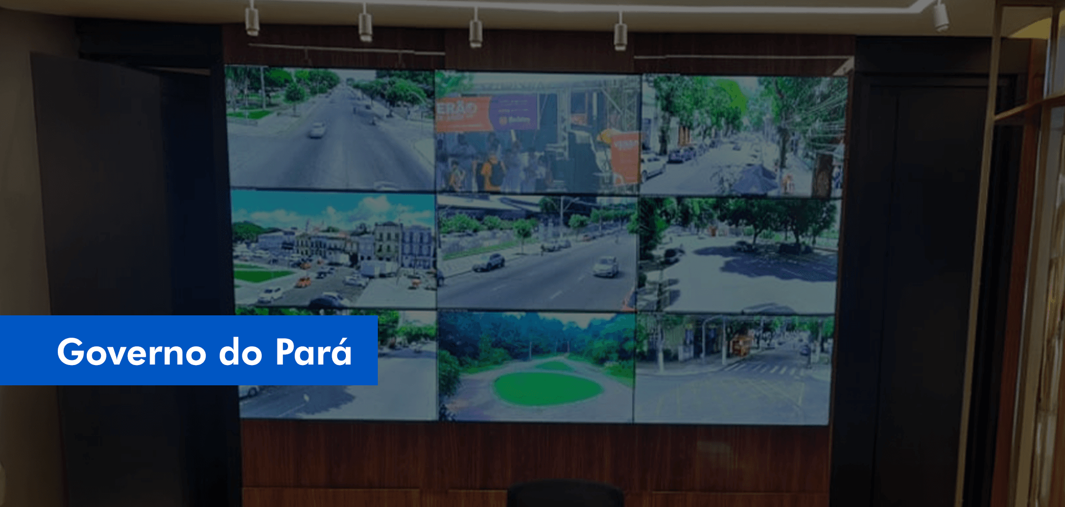 Governo do Pará