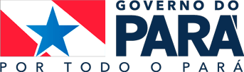 Governo do Pará